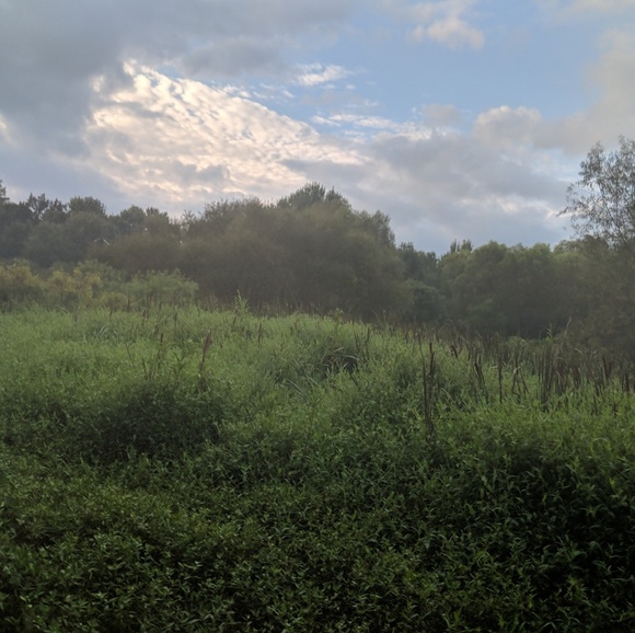 Meet your Posher, Lisa - Picture 1 of 1